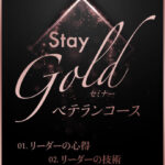 木坂健宣『Stay Goldセミナー ベテランコース』が示す、リーダーのためのビジネス最終進化論。