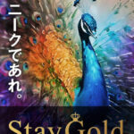 木坂健宣『Stay Goldセミナー』は、思想と経済の二項対立を超える。